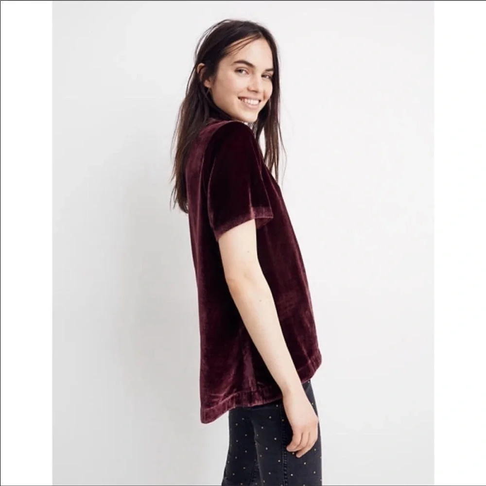 Madewell Choker Velvet Short Sleeve Top_2